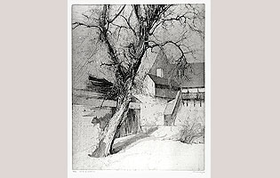 Alito d'inverno '02