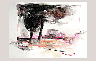 Alberi neri '15